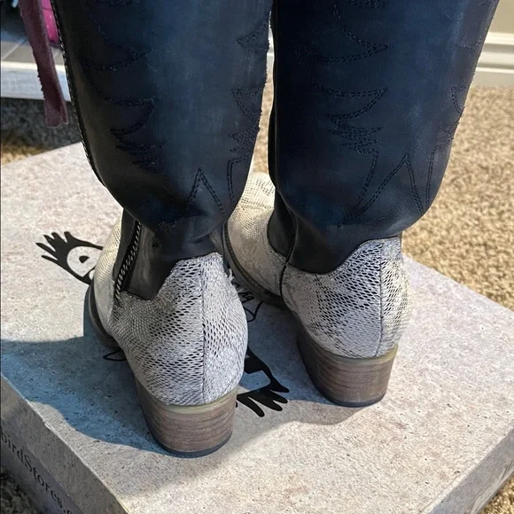 Freebird By Steven Whisper Tall Boots  In Black Snake - Picture 8 of 16